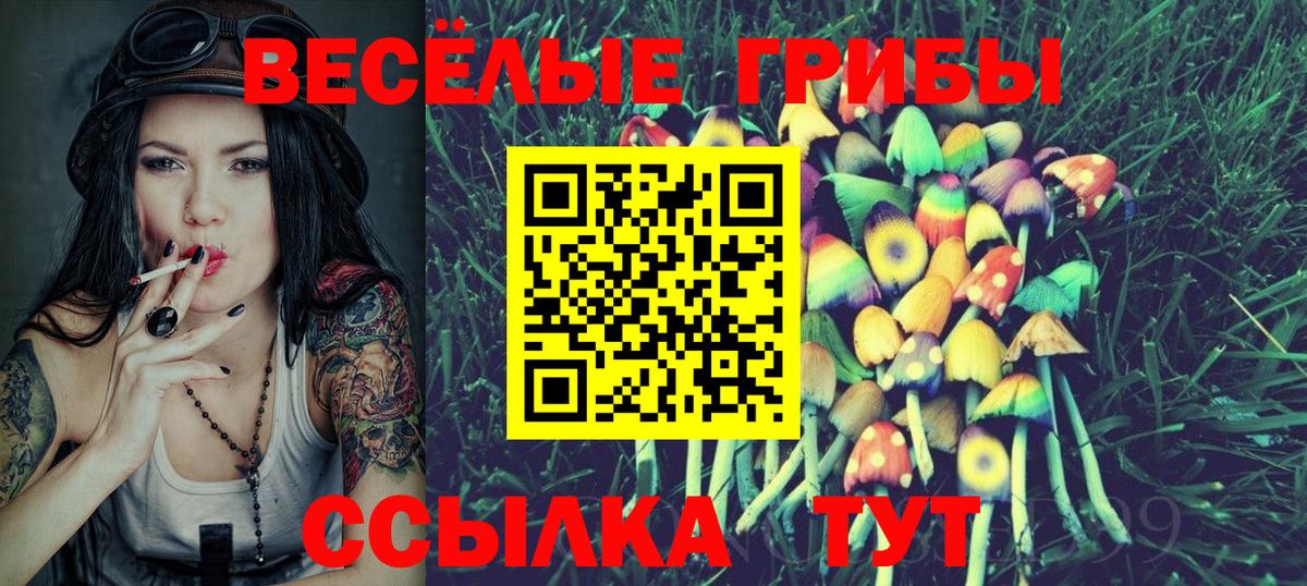 Псилоцибиновые грибы Psilocybe  Когалым 