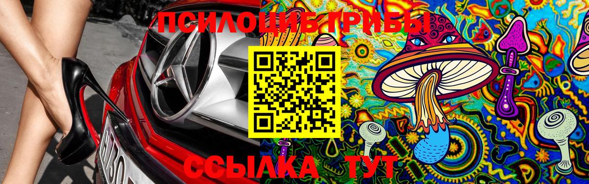 Псилоцибиновые грибы Psilocybine cubensis Когалым